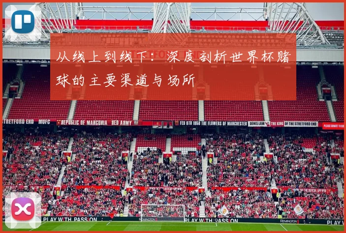 从线上到线下:深度剖析世界杯赌球的主要渠道与场所