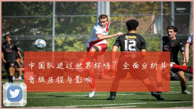 中国队进过世界杯吗?全面分析其晋级历程与影响
