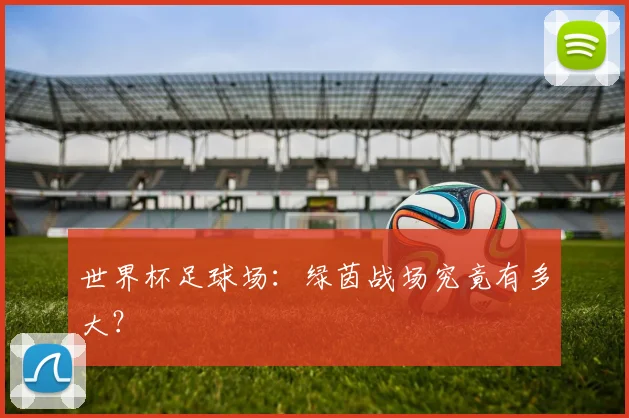 世界杯足球场:绿茵战场究竟有多大?