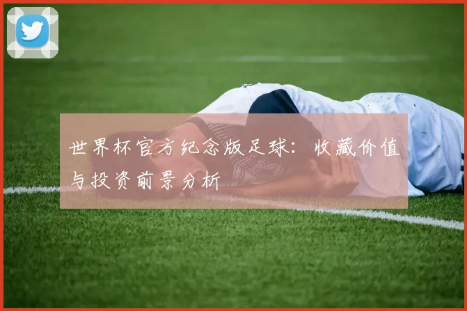 世界杯官方纪念版足球：收藏价值与投资前景分析