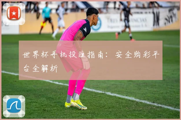 世界杯手机投注指南:安全购彩平台全解析