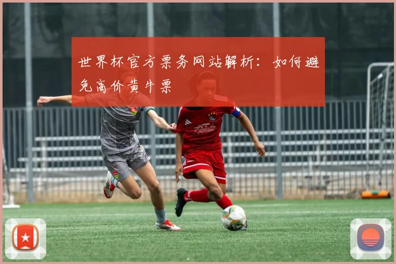 世界杯官方票务网站解析:如何避免高价黄牛票