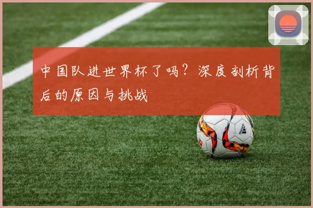 中国队进世界杯了吗?深度剖析背后的原因与挑战